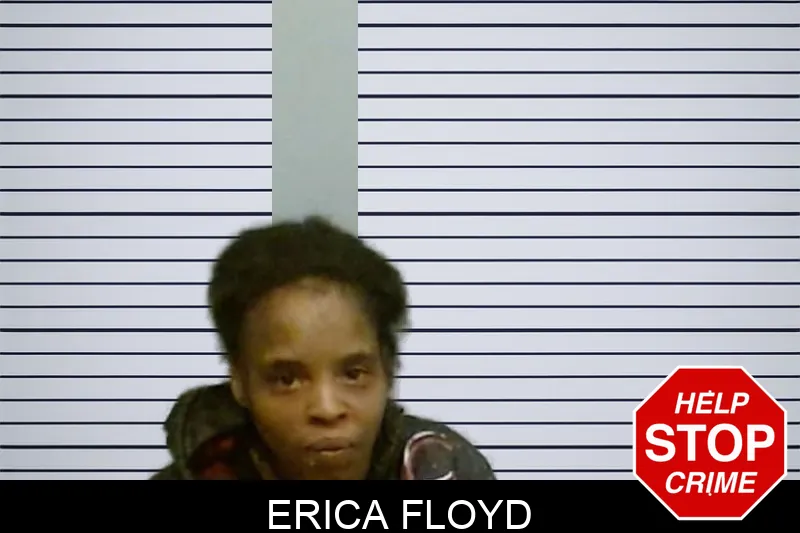 Erica Floyd mugshot