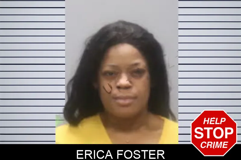 Erica Foster Mugshots