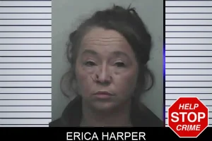 Erica Harper mugshot