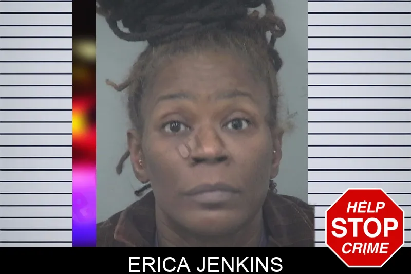 Erica Jenkins Mugshots