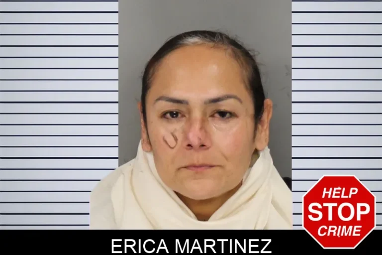 Erica Martinez mugshot – Cobb County , Georgia Erica Martinez