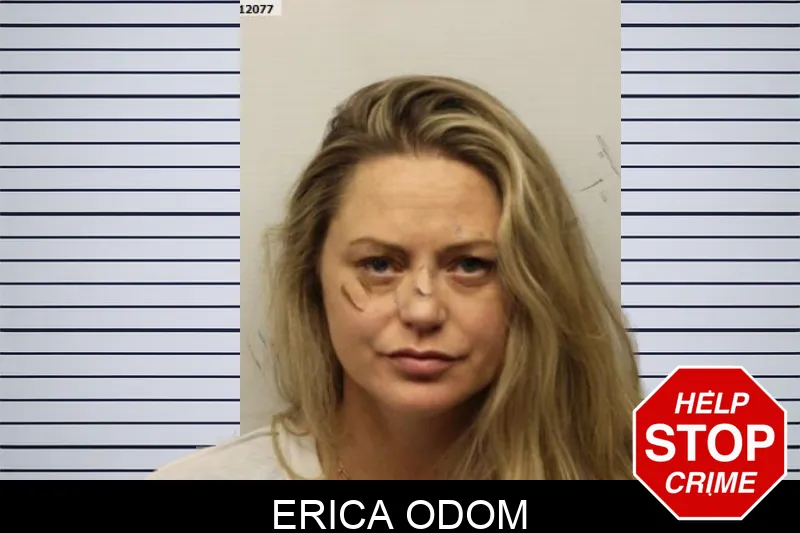 Erica Odom Mugshots