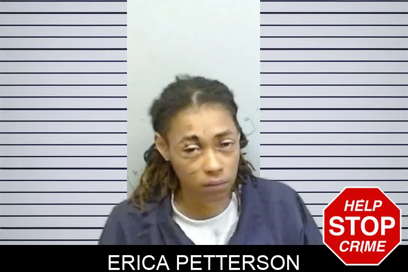 Erica Petterson Mugshots