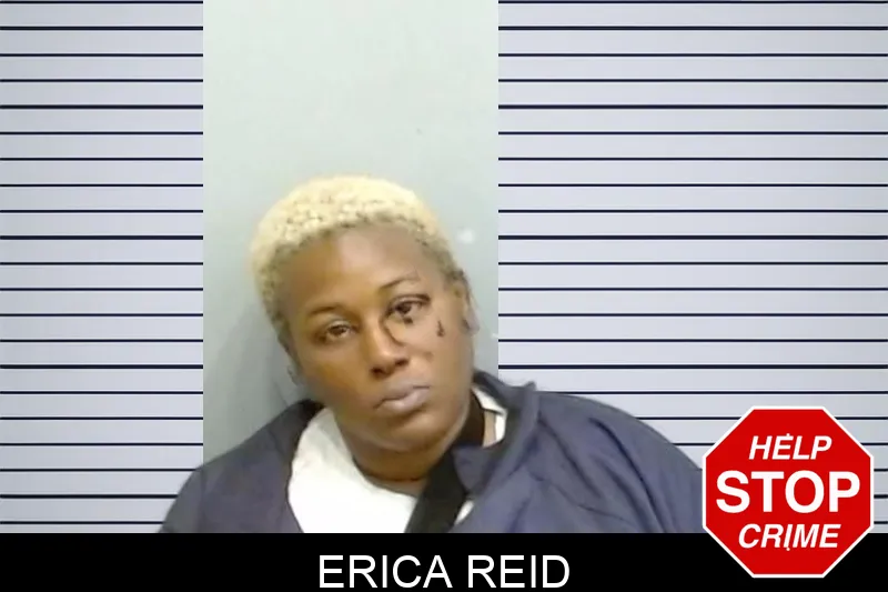 Erica Reid Mugshots