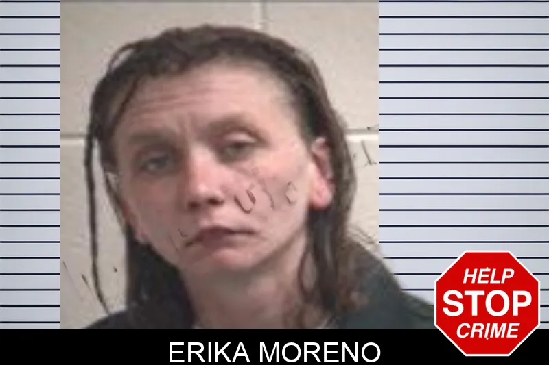 Erika Moreno Mugshots
