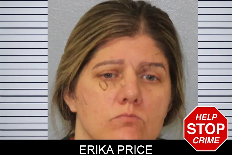 Erika Price Mugshots