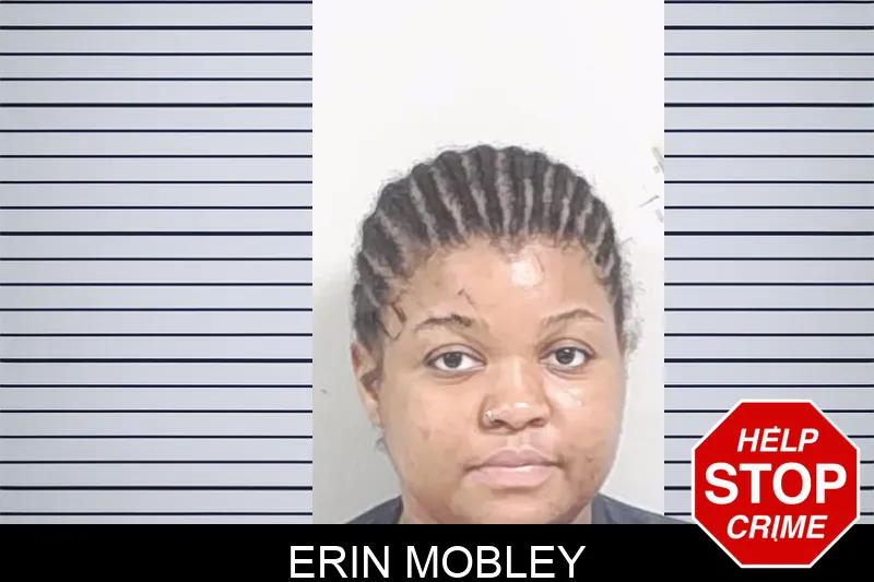 Erin Mobley Mugshots