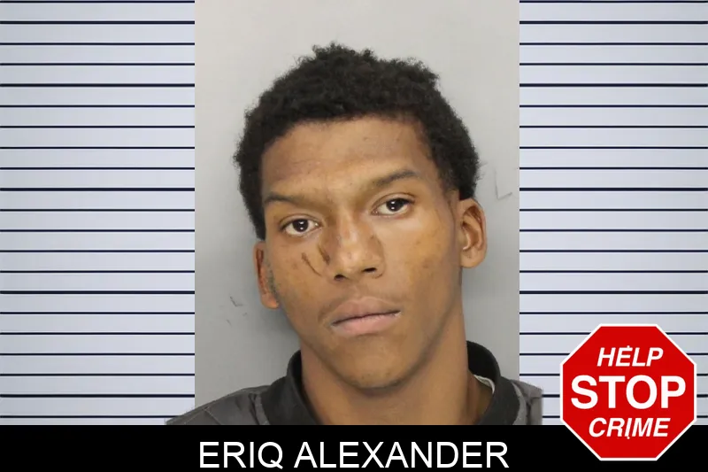 Eriq Alexander Mugshots