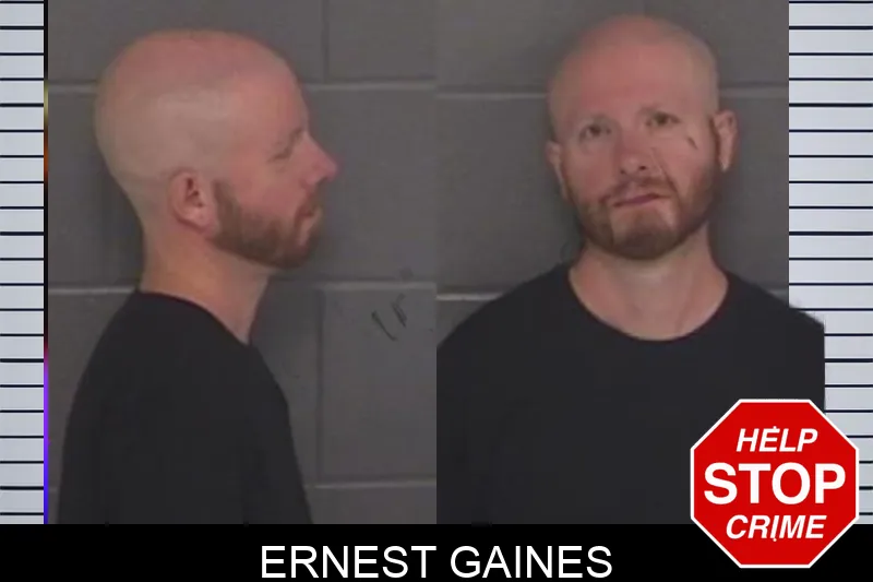 Ernest Gaines Mugshots