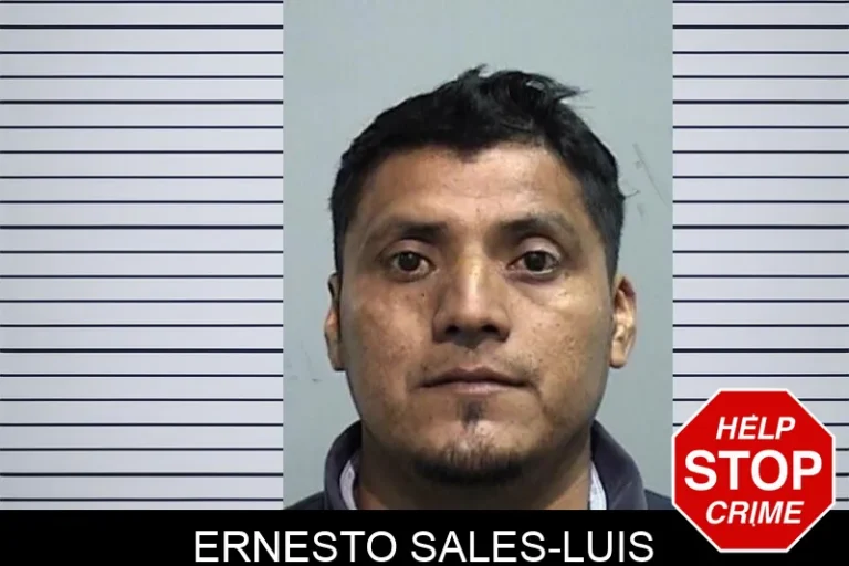 Ernesto Sales-Luis