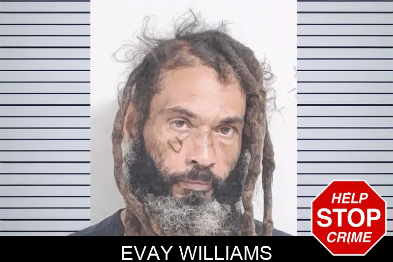 Evay Williams Mugshots