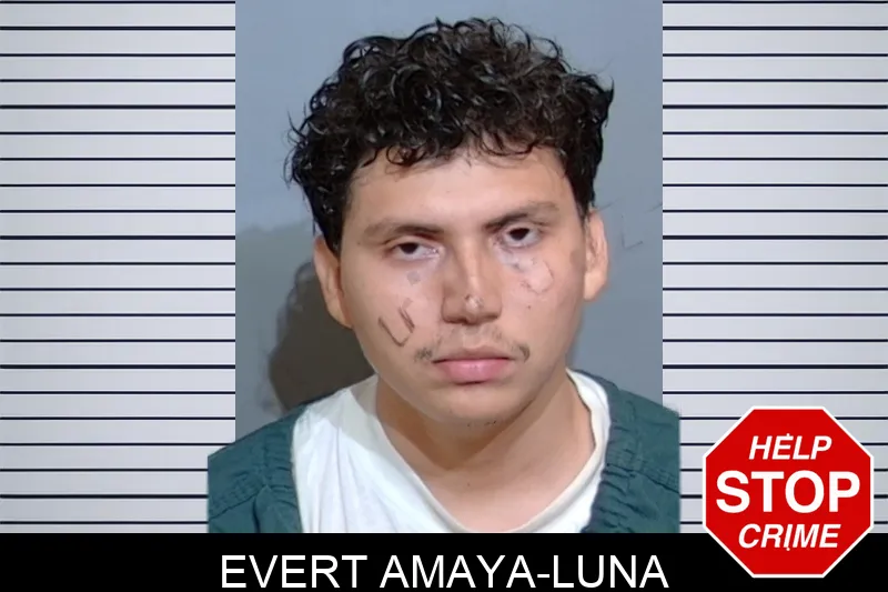 Evert Amaya-Luna Mugshots
