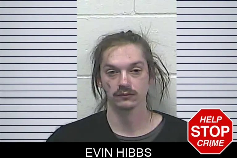 Evin Hibbs