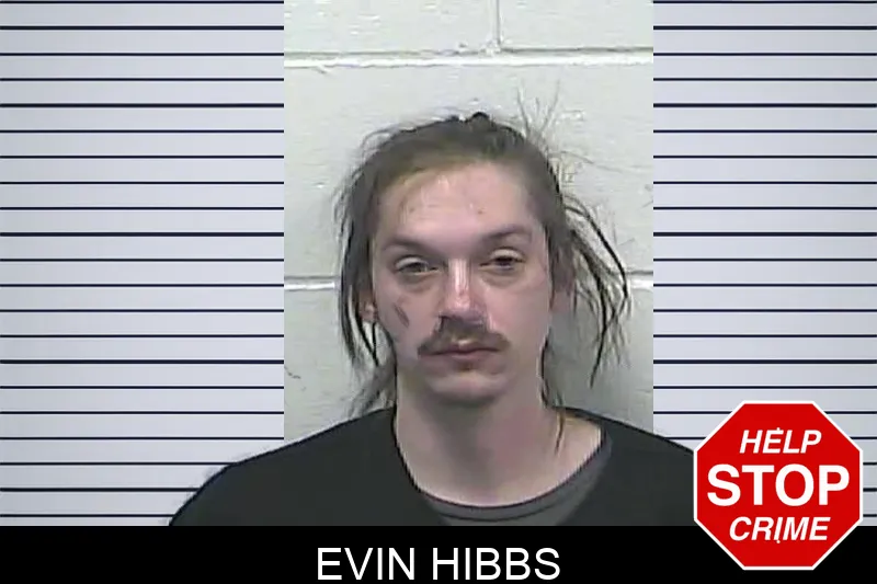 Evin Hibbs Mugshots