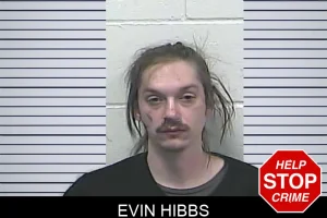 Evin Hibbs mugshot