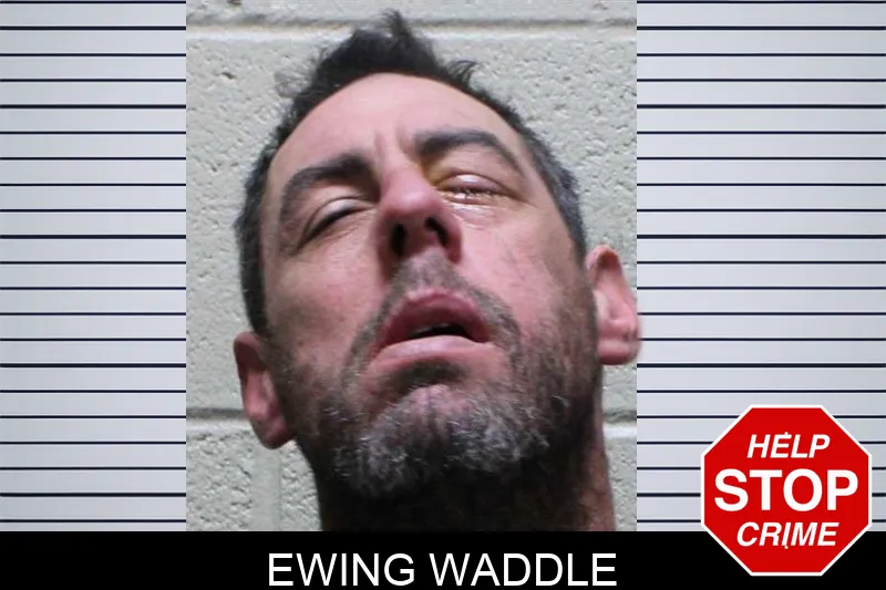 Ewing Waddle Mugshots