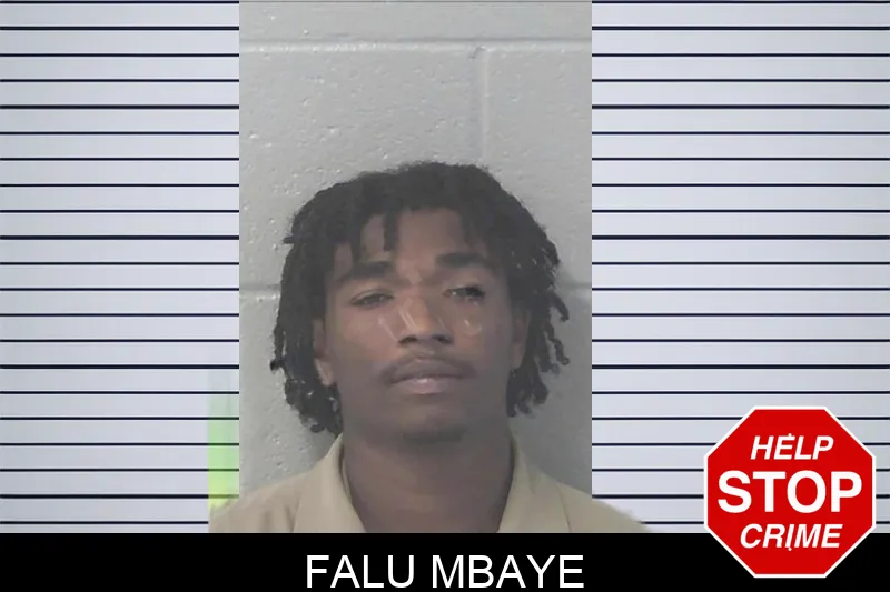 Falu Mbaye Mugshots