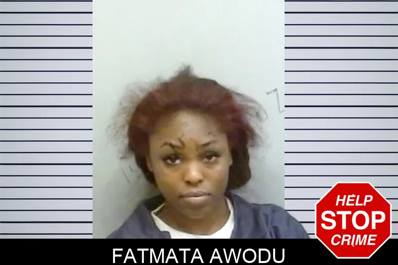 Fatmata Awodu mugshot – Fulton County , Georgia Fatmata Awodu mugshot