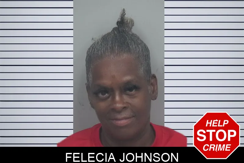 Felecia Johnson Mugshots