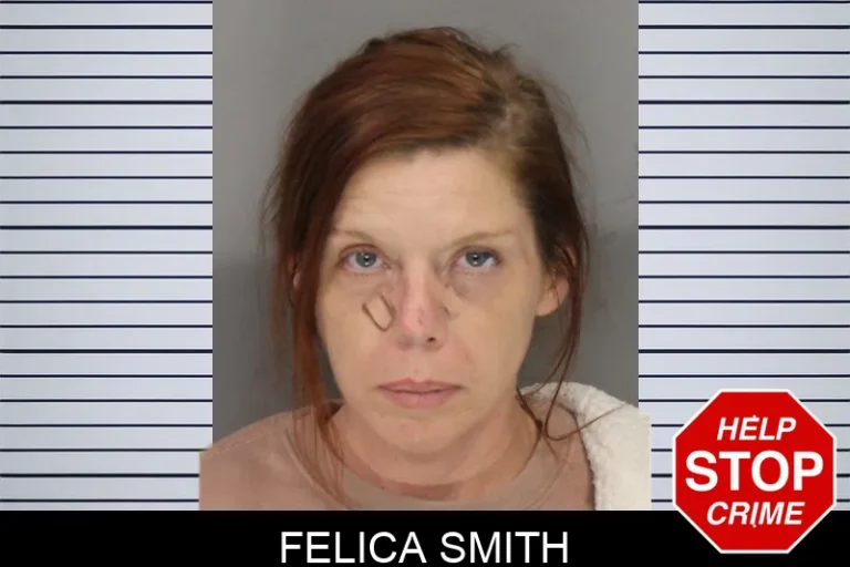 Felica Smith mugshot – Cobb County , Georgia Felica Smith