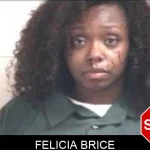 Felicia Brice Mugshots