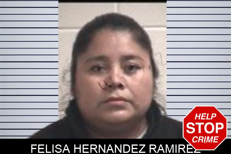 Felisa Hernandez Ramirez mugshot