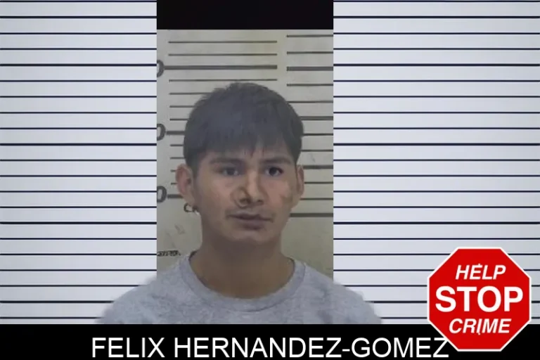 Felix Hernandez-Gomez