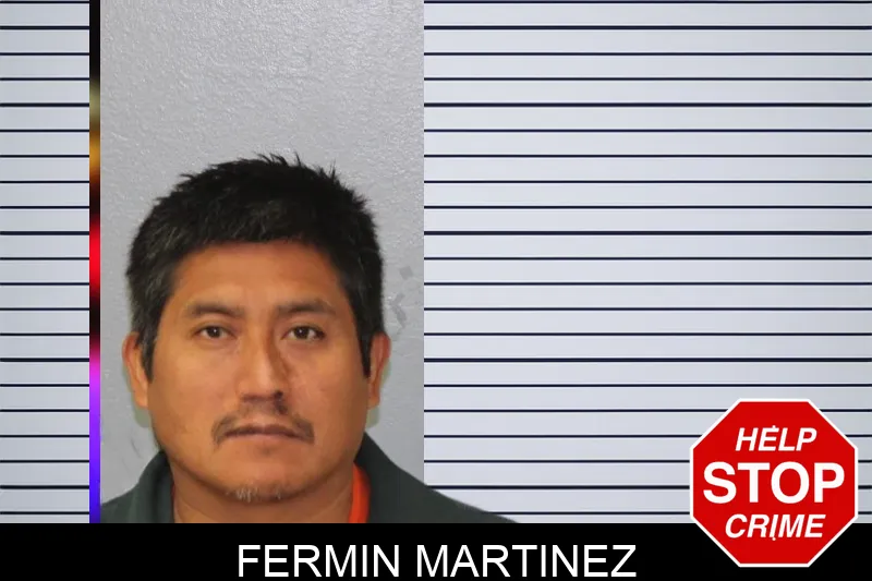 Fermin Martinez Mugshots