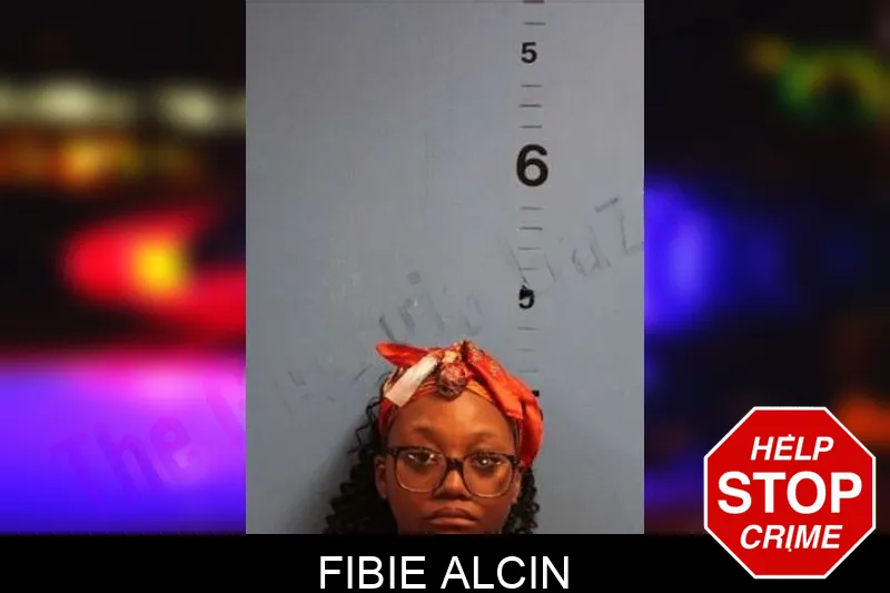 Fibie Alcin Mugshots
