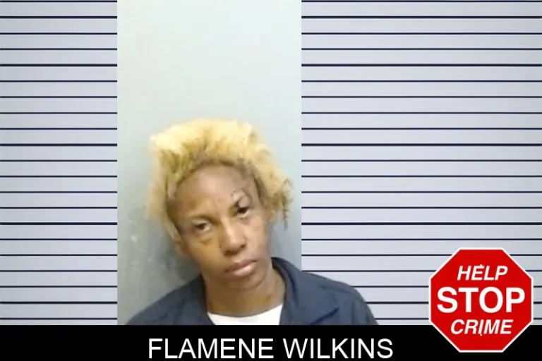 Flamene Wilkins mugshot – Fulton County , Georgia Flamene Wilkins