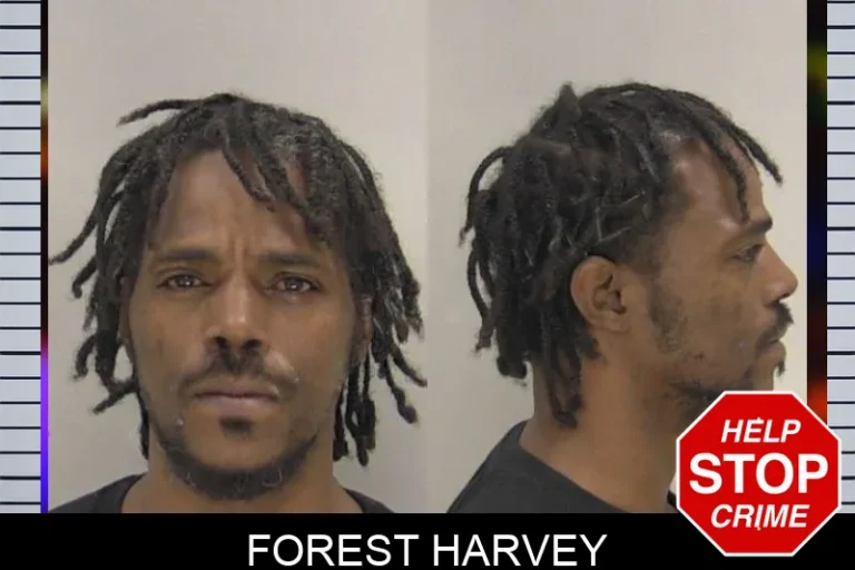 Forest Harvey