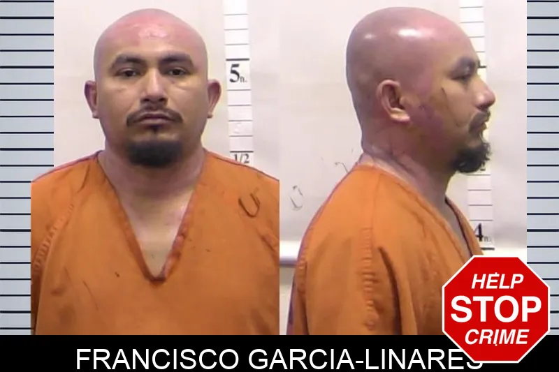 Francisco Garcia-Linares Mugshots