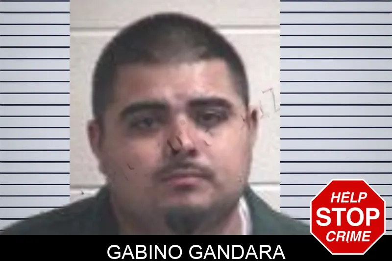 Gabino Gandara Mugshots