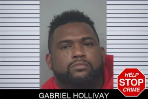 Gabriel Hollivay mugshot
