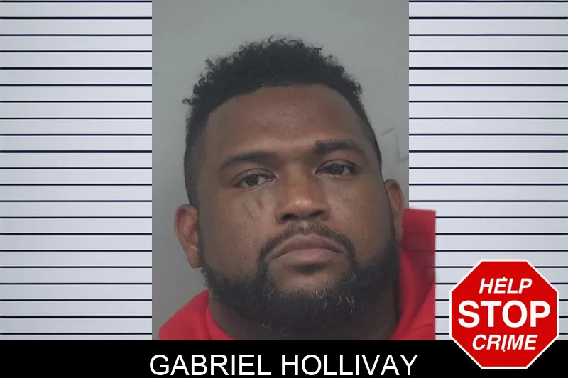 Gabriel Hollivay Mugshots