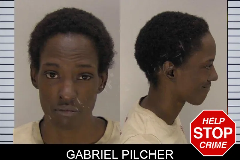 Gabriel Pilcher Mugshots