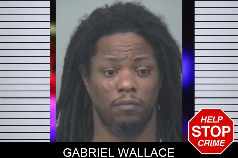 Gabriel Wallace Mugshots