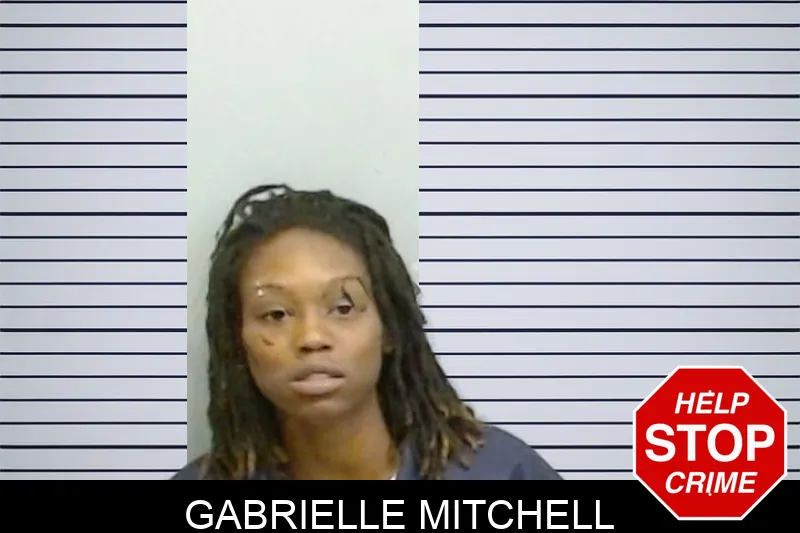 Gabrielle Mitchell Mugshots