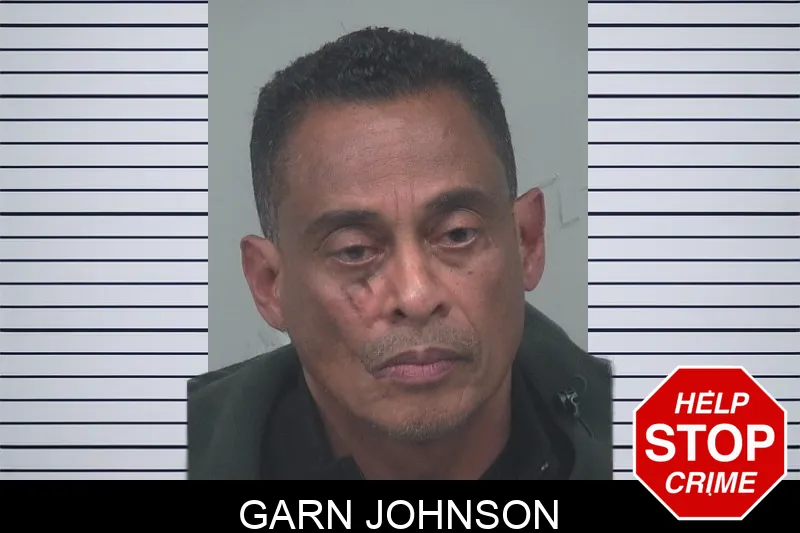 Garn Johnson mugshot – Gwinnett County , Georgia Garn Johnson mugshot