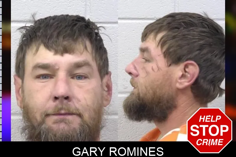 Gary Romines Mugshots