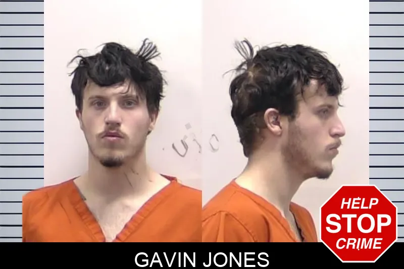 Gavin Jones Mugshots