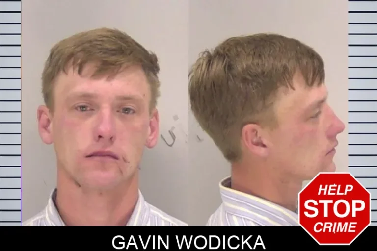 Gavin Wodicka