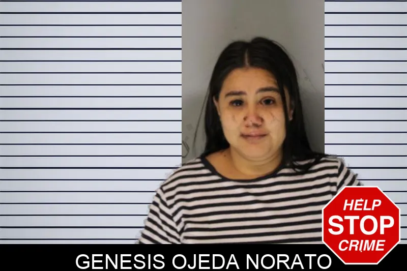 Genesis Ojeda Norato Mugshots