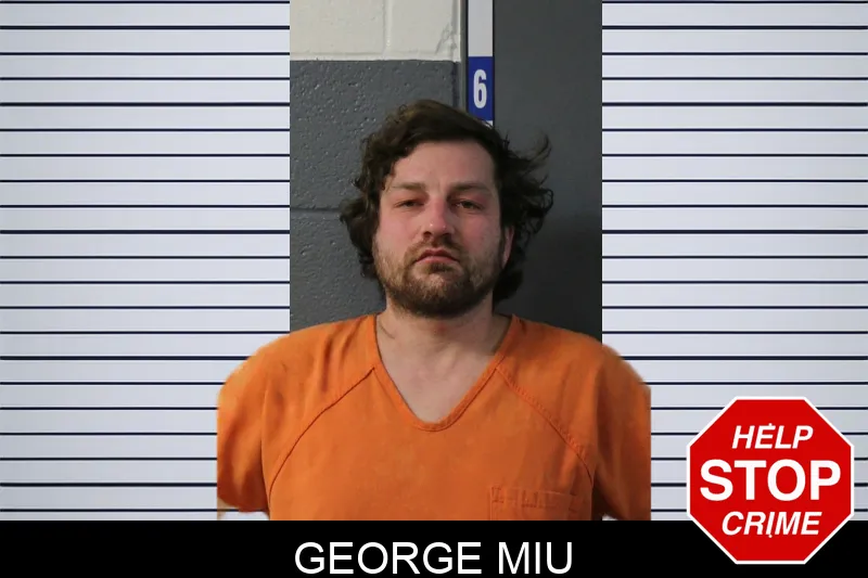 George Miu Mugshots