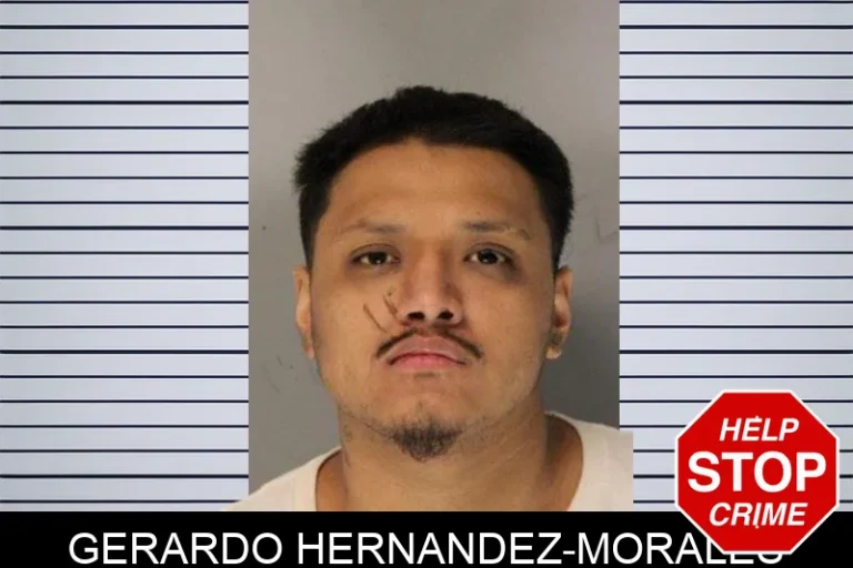 Gerardo Hernandez-Morales