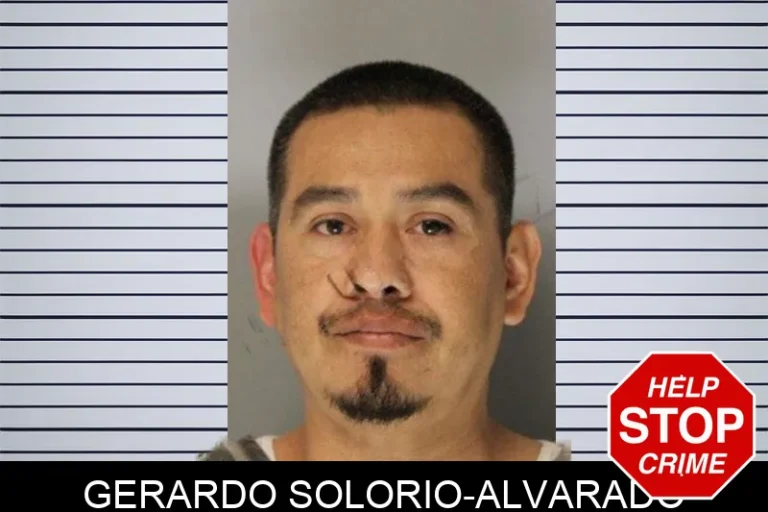 Gerardo Solorio-Alvarado
