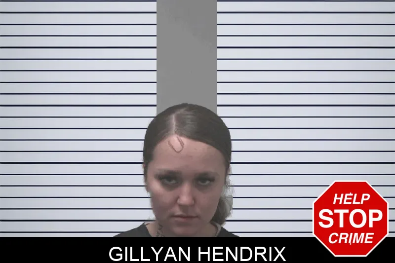 Gillyan Hendrix Mugshots