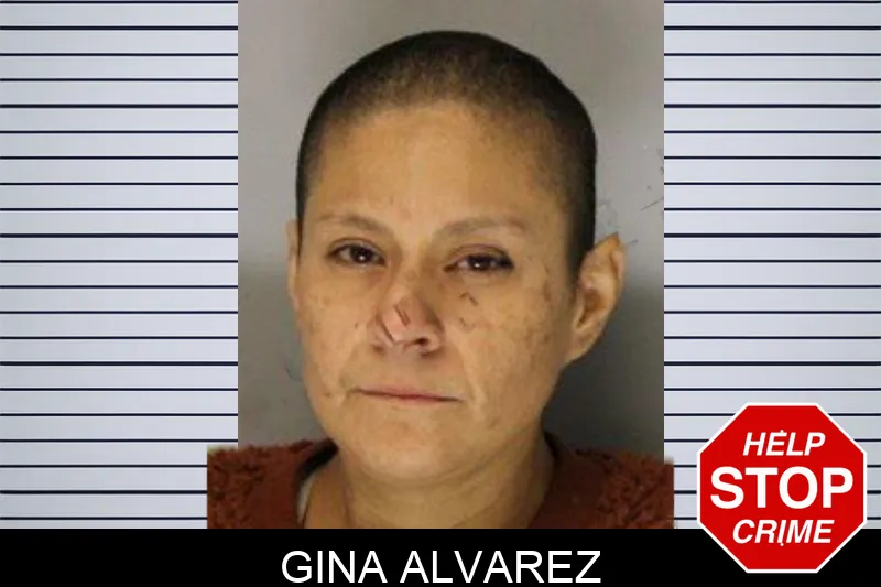 Gina Alvarez Mugshots