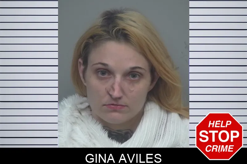 Gina Aviles mugshot