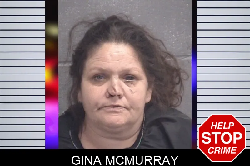 Gina McMurray Mugshots